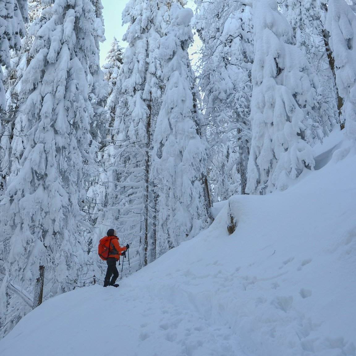 Skitouring na vysokohorskú chatu